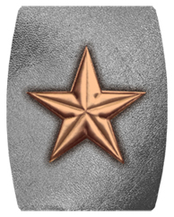 DAREC 430 BZ SL Star Bronze Silver